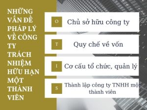 công ty trách nhiệm hữu hạn một thành viên