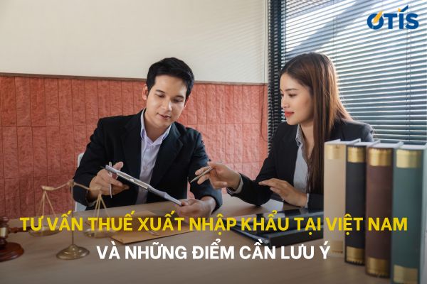 tu-van-thue-xuat-nhap-khau-tai-viet-nam