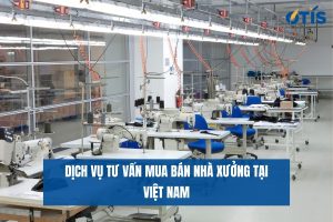 tu-van-mua-ban-nha-xuong-tai-viet-nam
