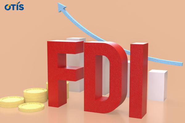 tu-van-thanh-lap-doanh-nghiep-fdi