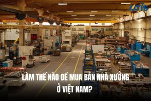 lam-the-nao-de-mua-ban-nha-xuong-o-viet-nam
