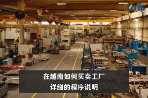 在越南如何买卖工厂